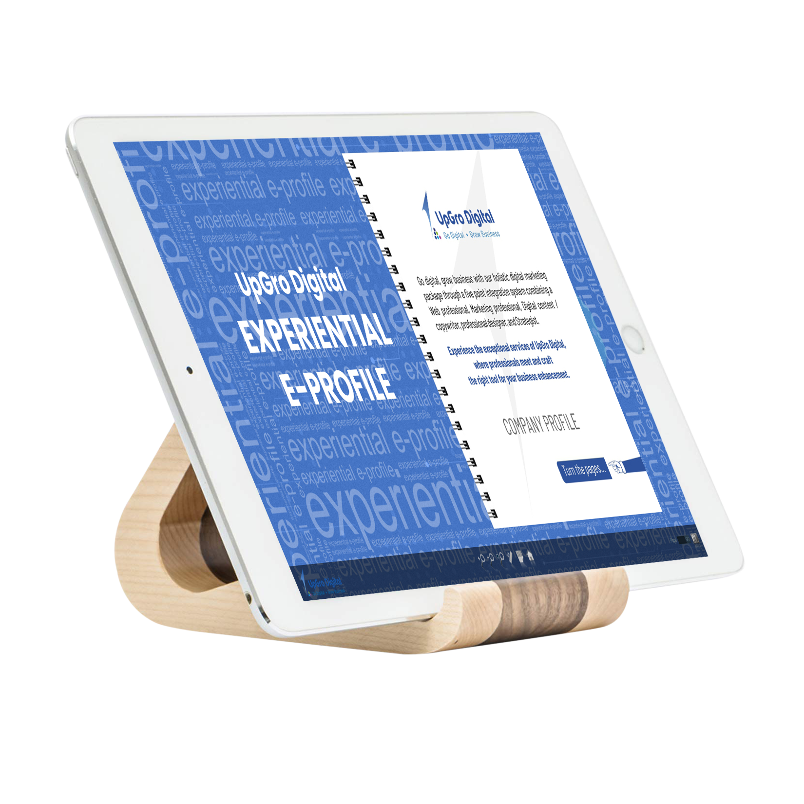 Why an Experiential E-Profile?